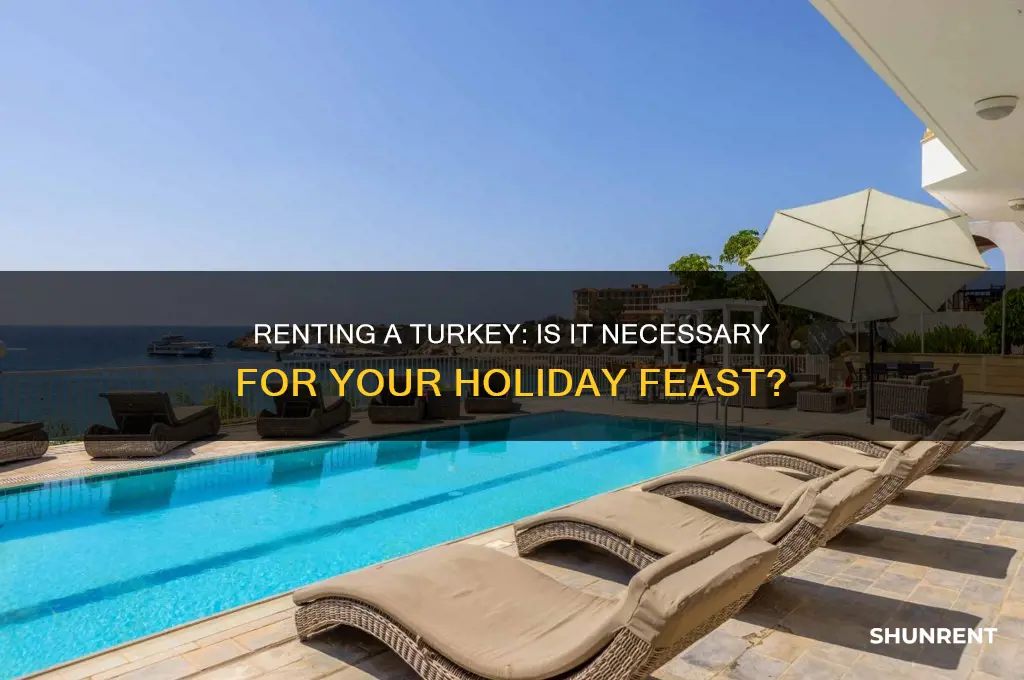 do i need to rent my turkey