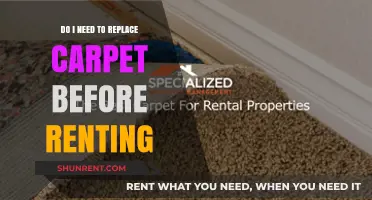 Should You Replace Carpet Before Renting?