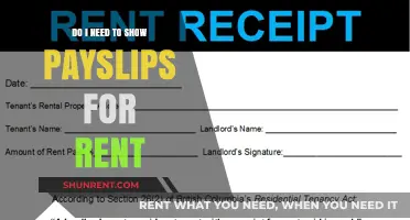 Payslips for Rent: What's the Deal?