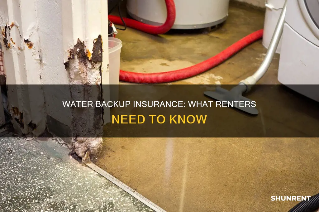do i need water backup insurance as a renter