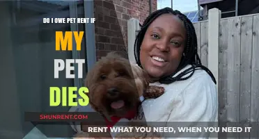 Pet Rent: What Happens When Your Furry Friend Passes Away?