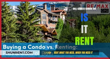Condo Conundrum: Rent or Own?
