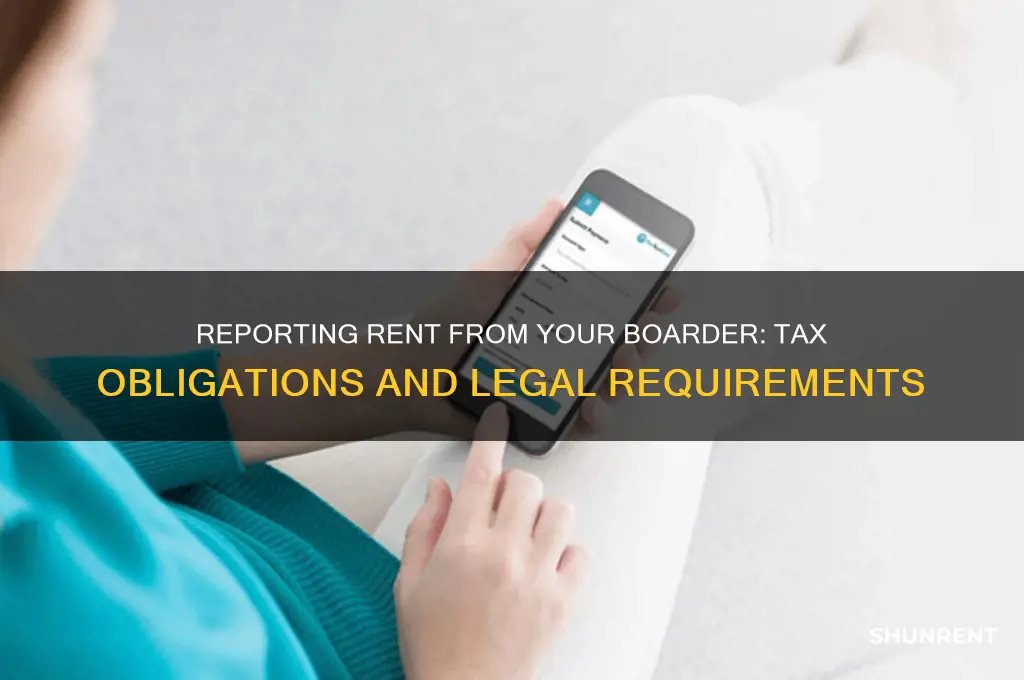 do i report rent from my boarder