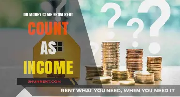 Rent: A Source of Income or Not?