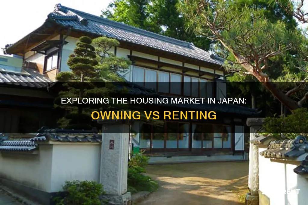 do most people own or rent in japan