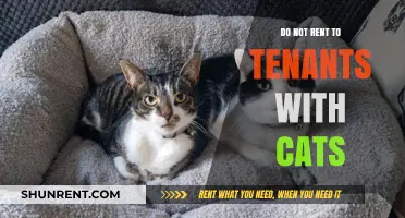 Avoid Cat-Related Risks: Why Renting to Cat Owners Isn't Worth It