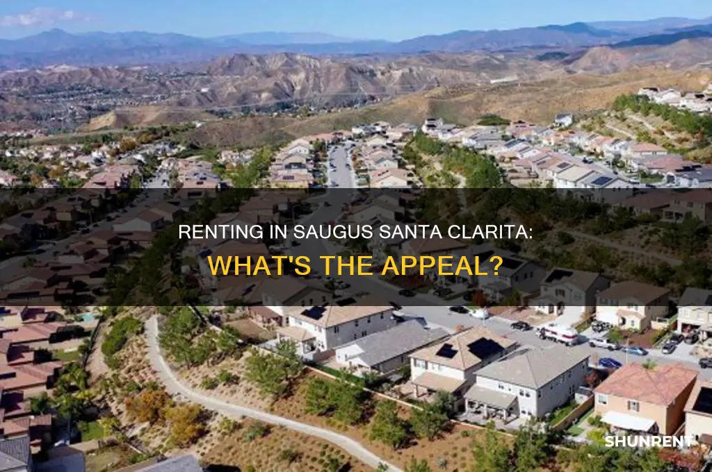 do people like renting in saugus santa clarita