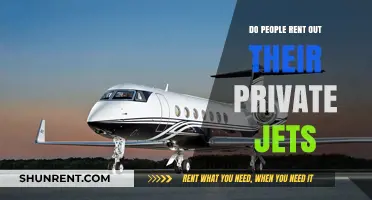 Do People Rent Out Their Private Jets? Exploring the Luxury Market