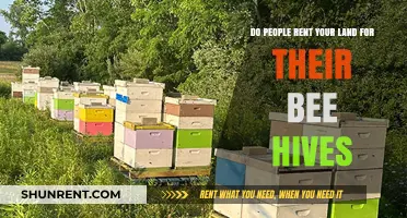 Renting Land for Bee Hives: A Sweet Deal?