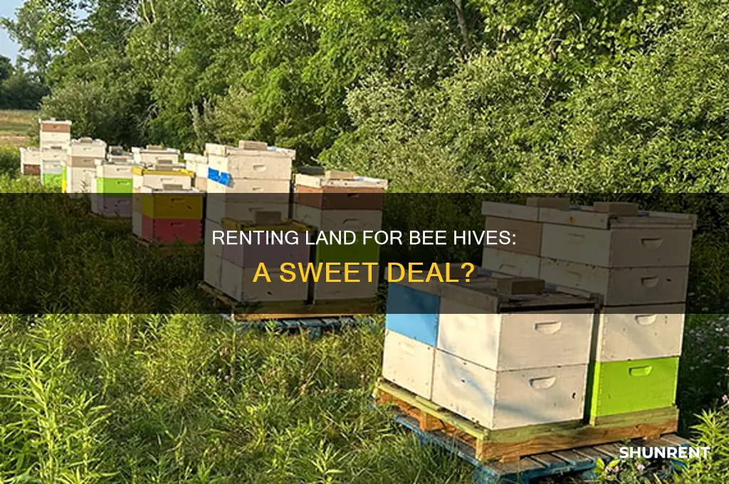 do people rent your land for their bee hives