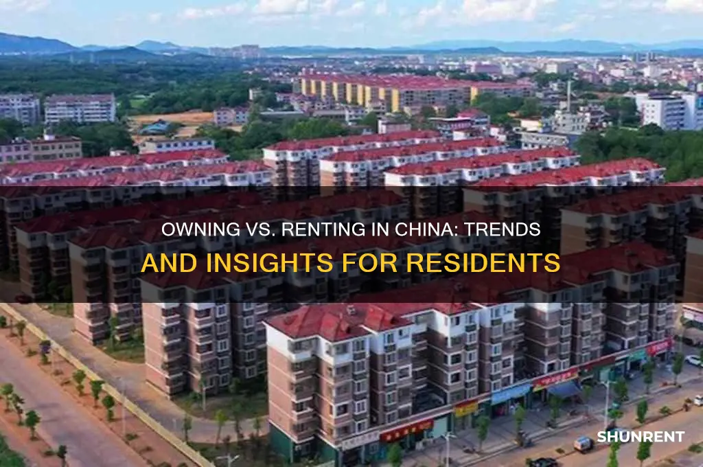 do poeple own or rent in china
