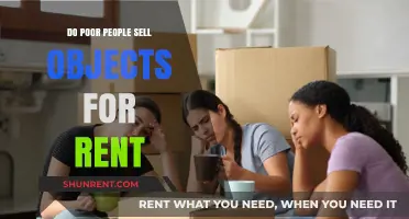 Do Poor People Sell Objects for Rent? Exploring Economic Realities