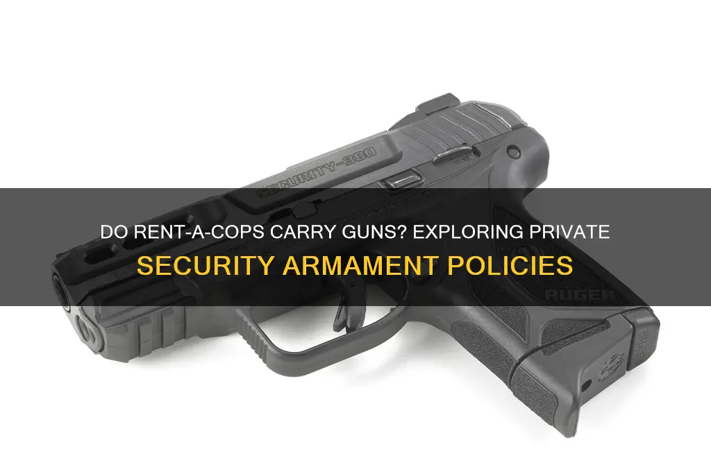 do rent a cop carry a gun