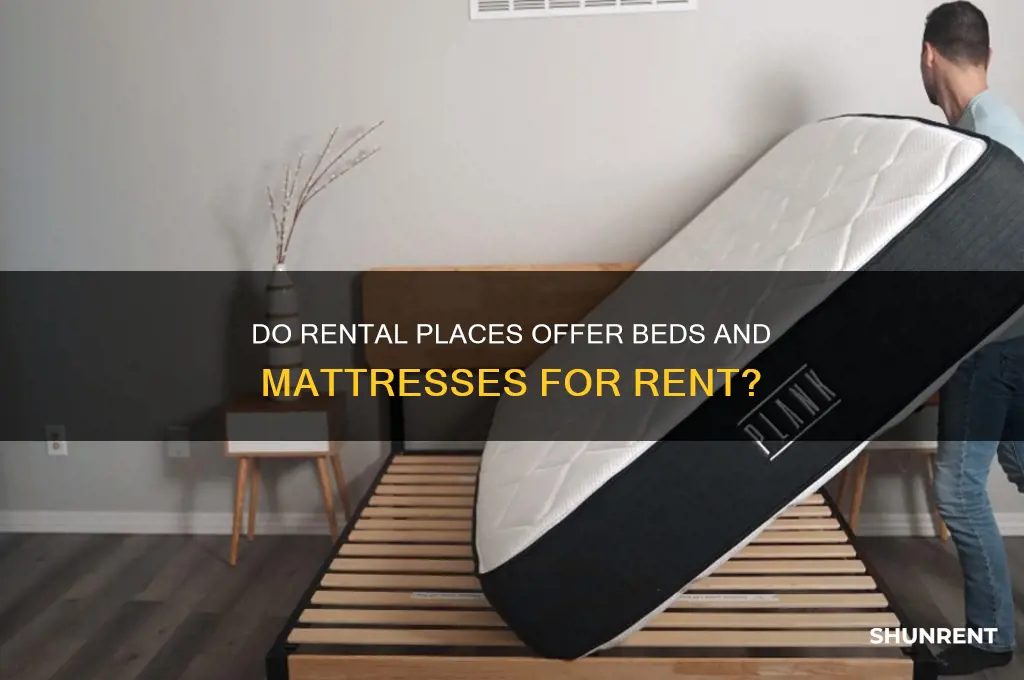 do rental places rent beds in mattresses