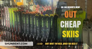 Affordable Ski Rentals: Do Resorts Offer Budget-Friendly Options?