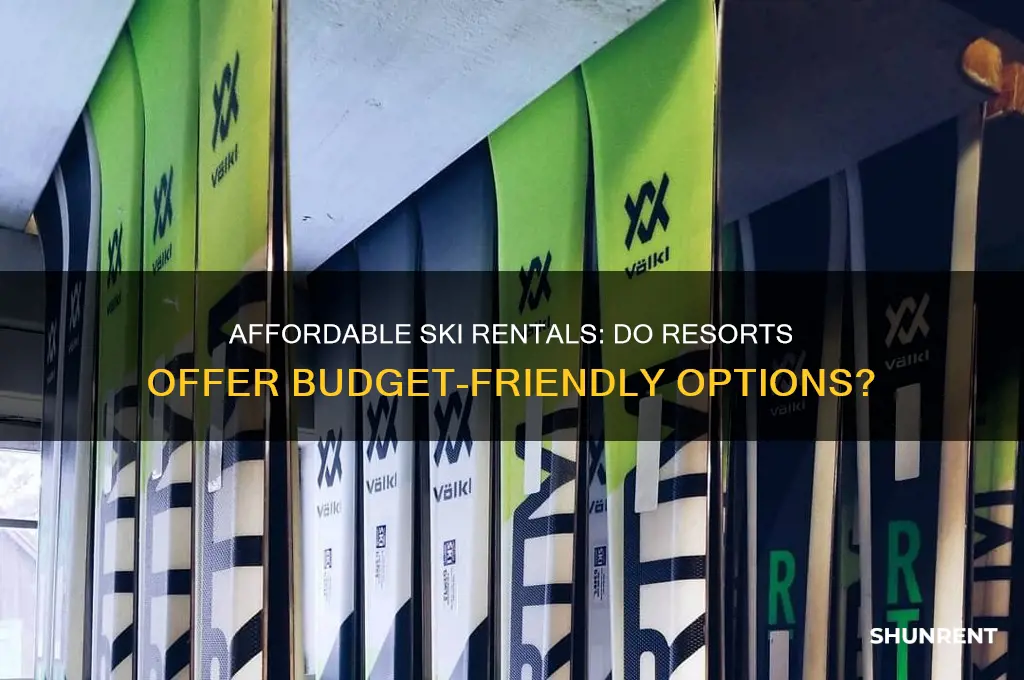 do ski resorts rent out cheap skiis