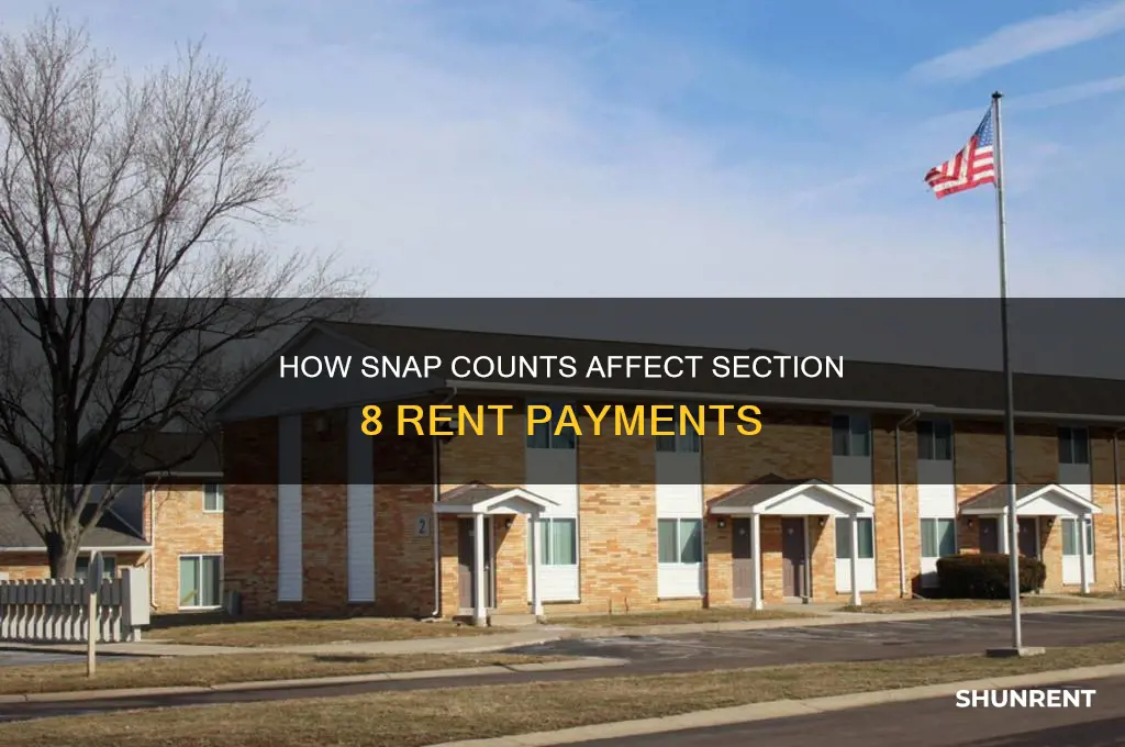 do snap count section 8 rent payment as income
