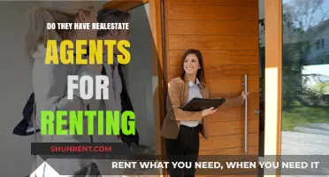 Do Rental Properties Need Real Estate Agents? Exploring the Role
