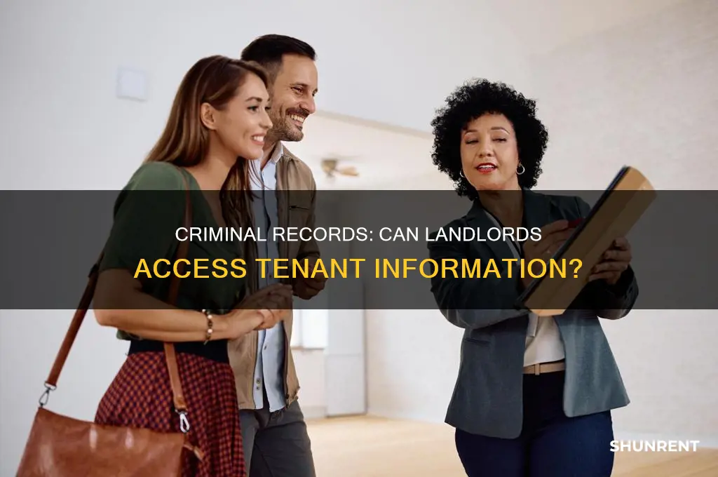 do they look at crminal records on rent