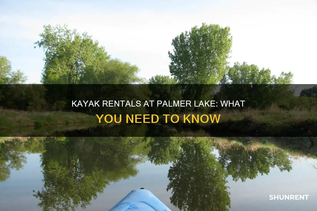 do they rent kayaks at palmer lake
