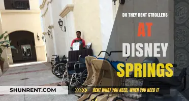 Stroller Rentals at Disney Springs: What You Need to Know