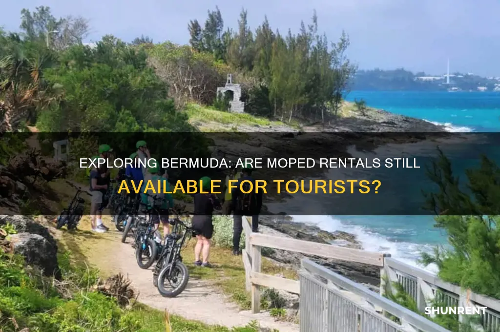 do they still rent mopeds in bermuda