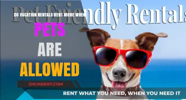 Pet-friendly Rentals: Higher Demand, More Bookings