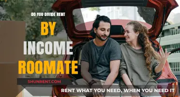 Should You Divide Rent by Income Among Roommates? A Fair Approach