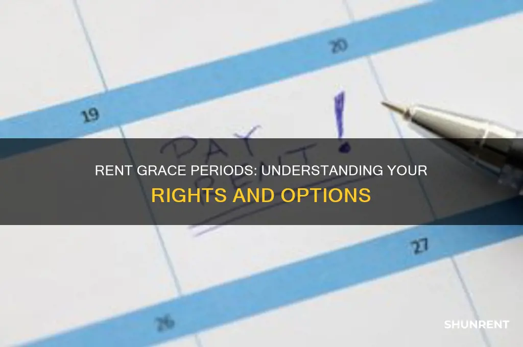 do you have a grace period for rent