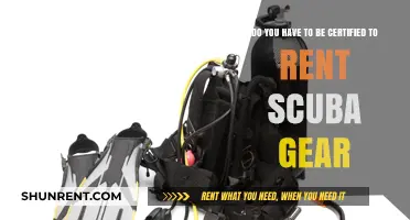 Scuba Gear Rentals: Do Certifications Matter?