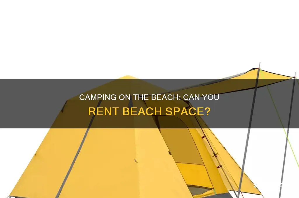 do you have to rent beach space to camp
