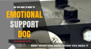 Emotional Support Dogs: Landlord's Rights and Tenant's Needs