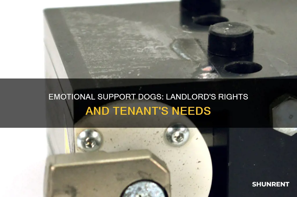 do you have to rent to emotional support dog