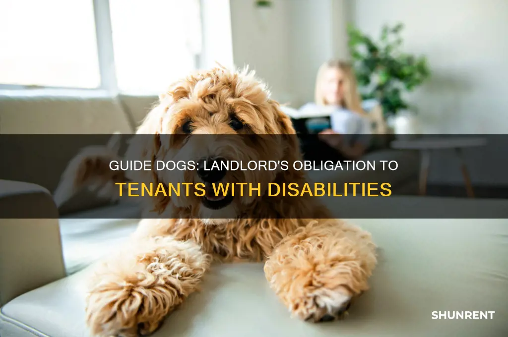 do you have to rent to guide dogs