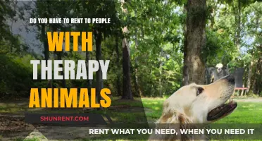Understanding Therapy Animal Rights in Rental Properties