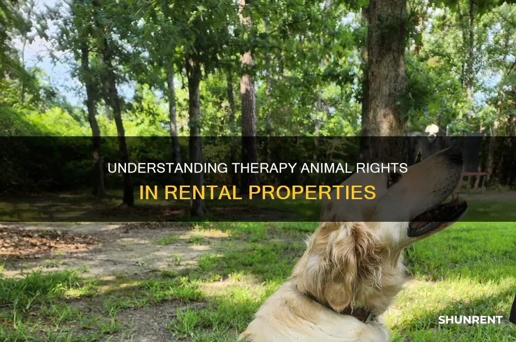 do you have to rent to people with therapy animals