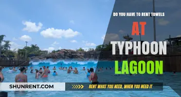 Typhoon Lagoon: Towels for Rent or Bring Your Own?