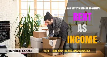 Reporting Roommate Rent: When Income is Income