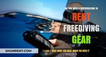 Freediving Gear Rental: Certification Requirements Explained