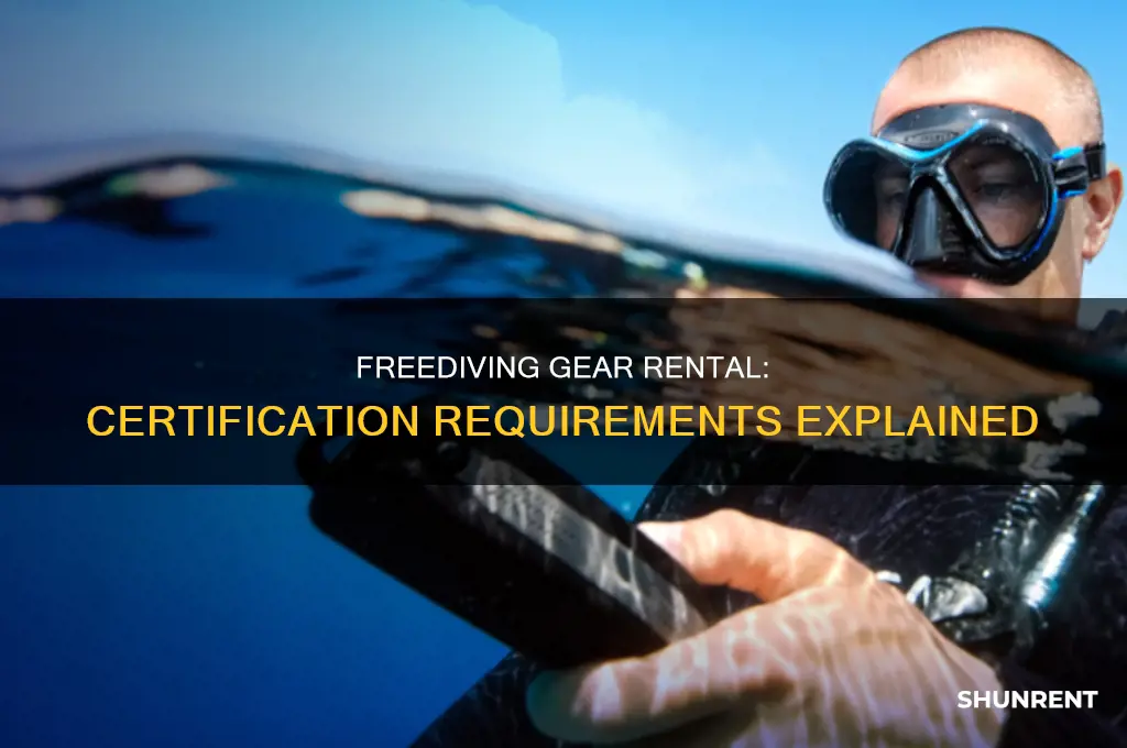 do you need a certification to rent freediving gear