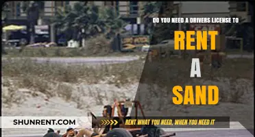 Driving Licenses: Are They Necessary for Sand Rail Rentals?