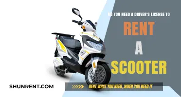 Scooter Rentals: License Requirements and Rules Explained