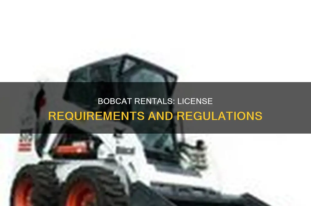 do you need a license to rent a bobcat