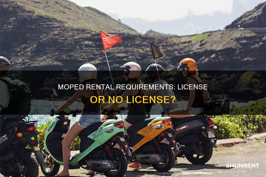 do you need a license to rent a moped