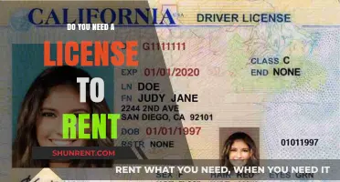 Do You Need a License to Rent? Key Requirements Explained