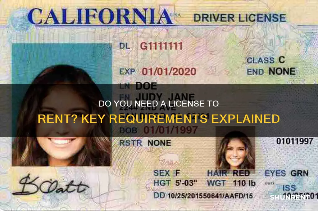 do you need a license to rent