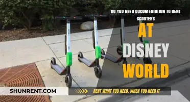 Scooter Rentals: Disney World's Documentation Requirements