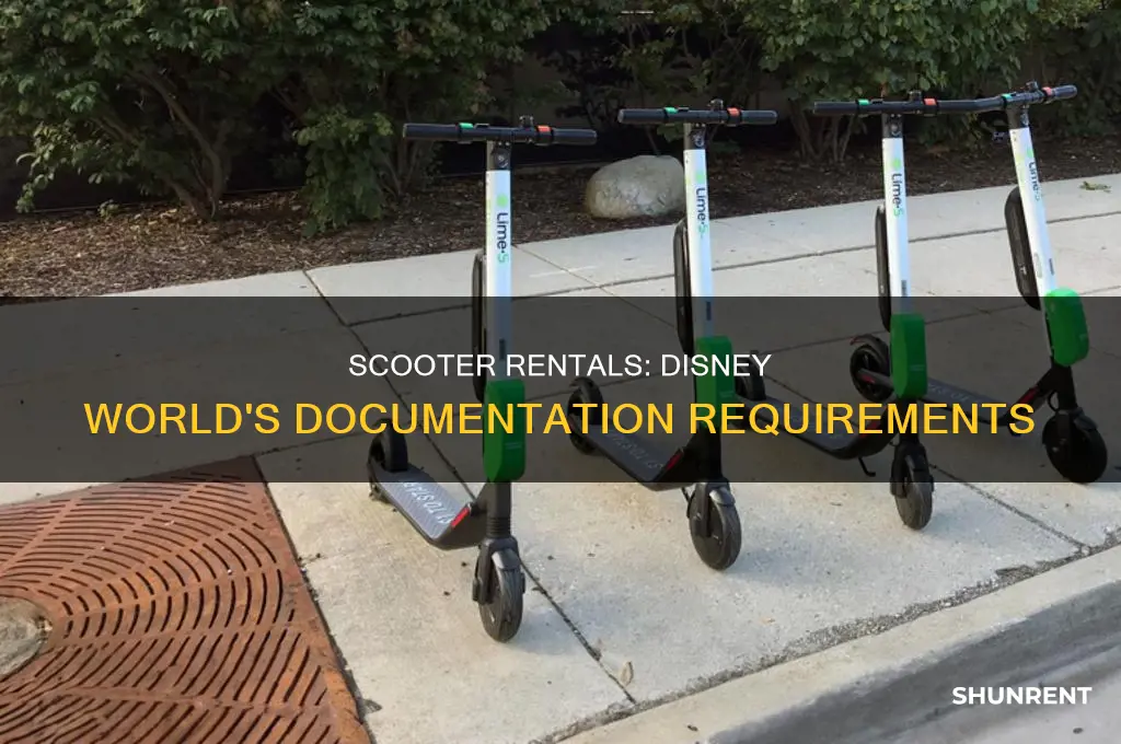 do you need documentation to rent scooters at disney world