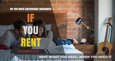 Earthquake Insurance: A Must-Have for Renters?