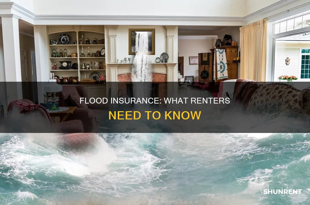 do you need flood insurance as a renter